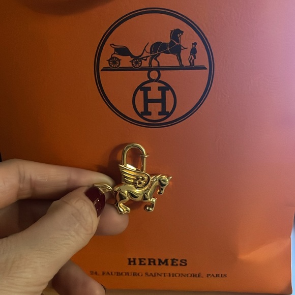 Hermes pegasus lock limited edition - Picture 3 of 7